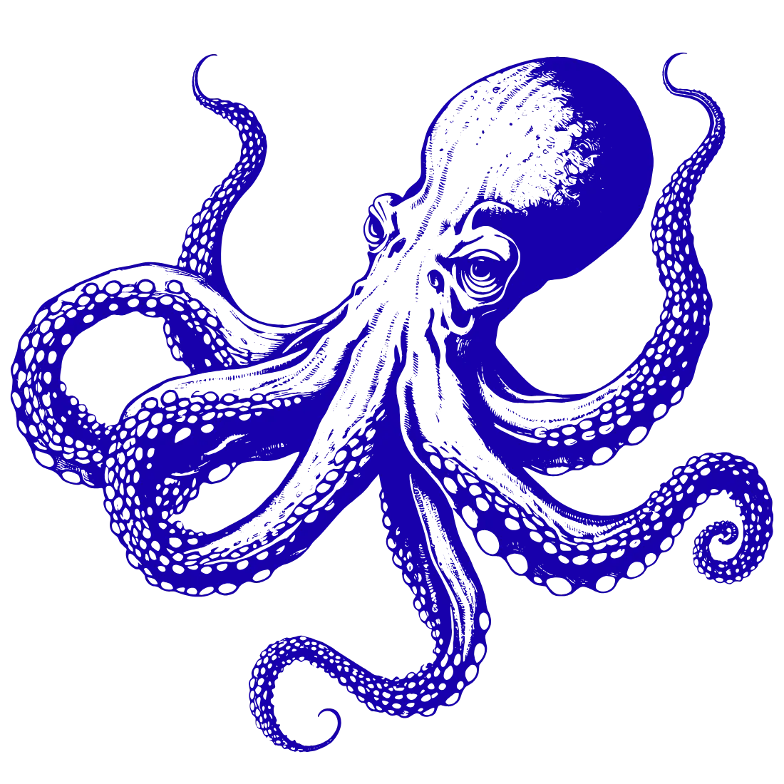 Agencia de marketing digital - Pulpo
